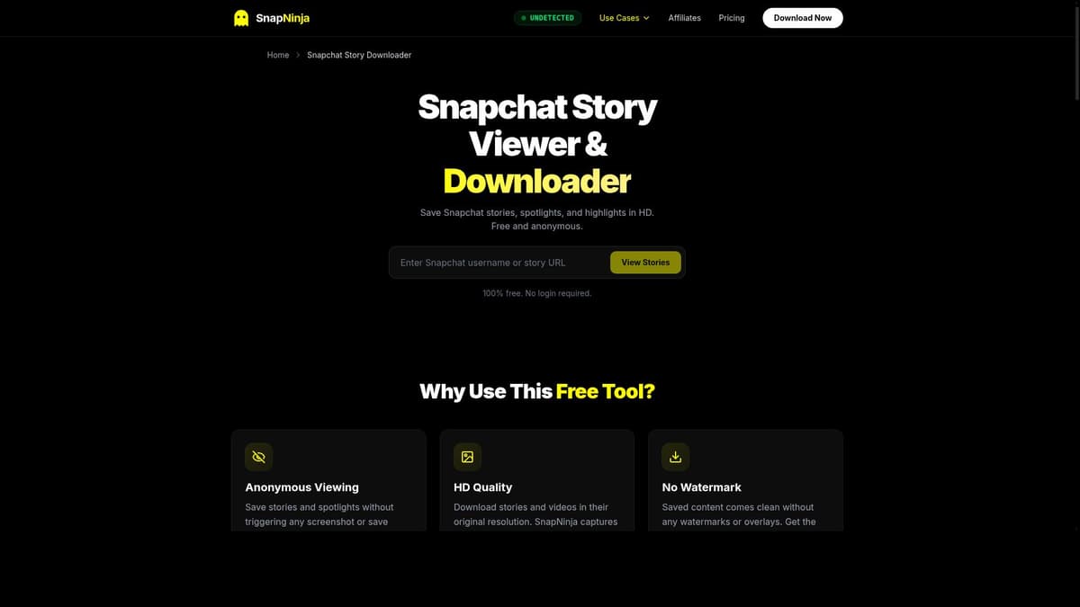 Snapchat Story Downloader by SnapNinja