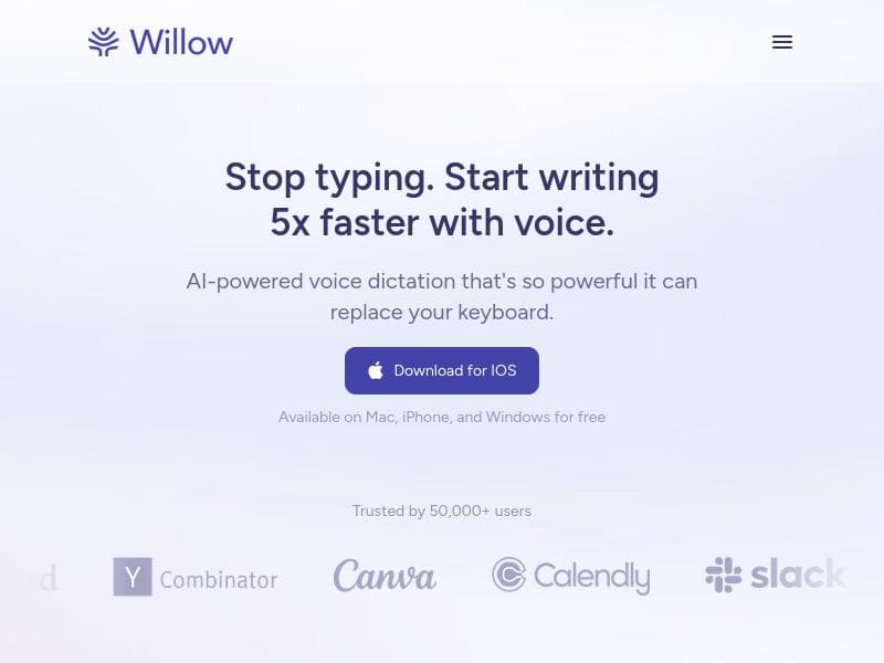 Willow Voice for Teams
