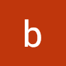 bogomil.commenterai111